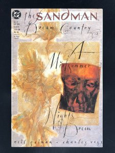 The Sandman #19 (1990)