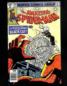 Amazing Spider-Man #205 Black Cat!
