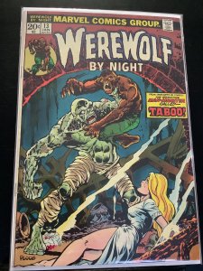 Werewolf by Night #13 (1974)