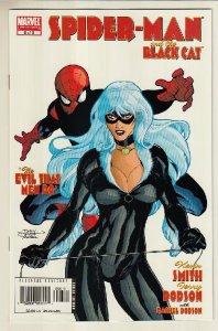 SPIDER-MAN/BLACK CAT: THE EVIL THAT MEN DO (2002 MARVEL) #6 CVR A TERRY DODSON