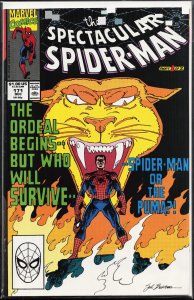 The Spectacular Spider-Man #171 (1990) Spider-Man