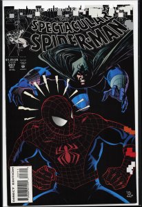 The Spectacular Spider-Man #207 (1993) Spider-Man