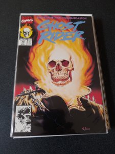 Ghost Rider #18 (1991)