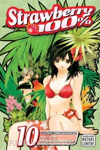 Strawberry 100% #10 VF/NM; Viz | save on shipping - details inside