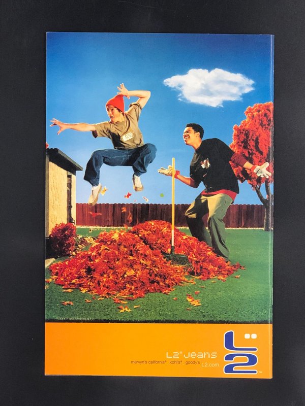 Spider-Man: Death and Destiny #3 (2000)