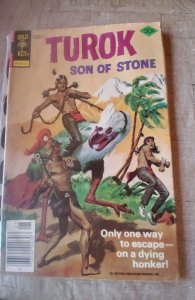 Turok, Son of Stone #110 (1977)