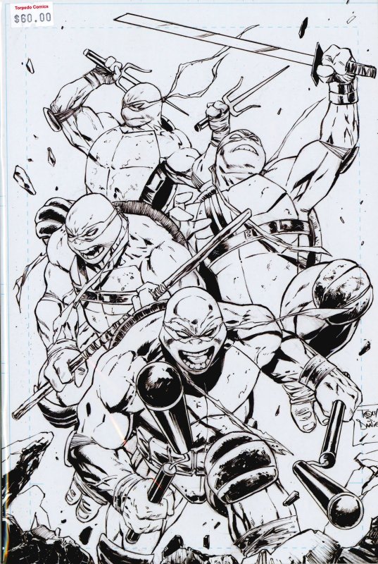 TMNT: Teenage Mutant Ninja Turtles #1-Black & White Variant by Tony S. Daniel 