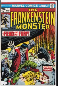 The Frankenstein Monster #7 (1973) Frankenstein Monster