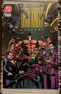 Batman: Dark Knight Gallery #1 (1996)