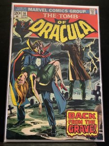 Die Gruft von Graf Dracula #16