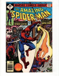 The Amazing Spider-Man #167 (1977)  / ID#401
