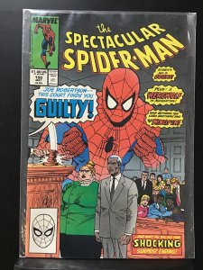 The Spectacular Spider-Man #150 Direct Edition (1989)