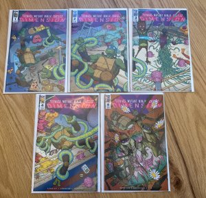 Teenage Mutant Ninja Turtles: Dimension X #1 - 5 IDW Comics Cover AB NM