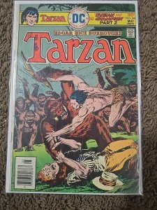 Tarzan #249 (DC Comics May 1976)