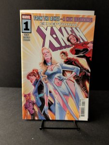 Exceptional X-Men #1 Carmen Carnero Cover (2024)