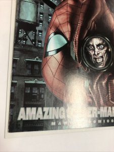 Amazing Spider-Man (2008) # 552 (NM-) Adi Granov Variant Marvel Brand New Day