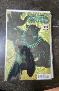 Black Panther #24 Quinones Cover (2021)