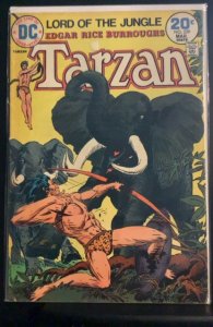 Tarzan #229 (1974)