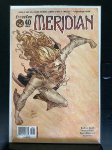 Meridian #40 (2003)