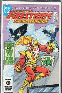 The Fury of Firestorm #29 (1984) Firestorm