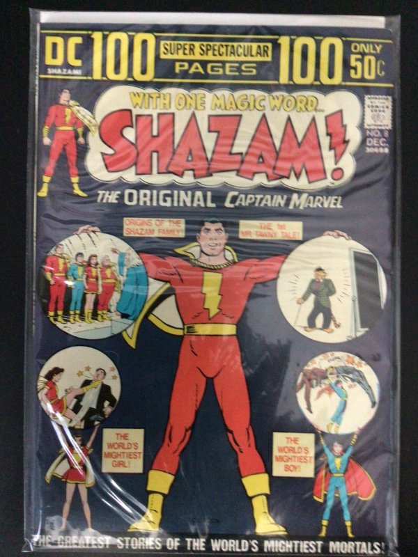 Shazam! #8 (1973) 1st Black Adam DC continuity/Silver Age (Movie incoming Rock)