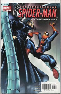 Spectacular Spider-Man #10 (2004) Spider-Man
