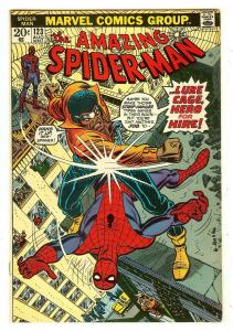 Amazing Spiderman 123   Luke Cage