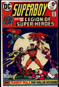Superboy #197 (1973)