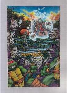 T.M.N.T #8 - Eastman Wrap Around Cover/Three Pieces! (6.5/7.0) 1986