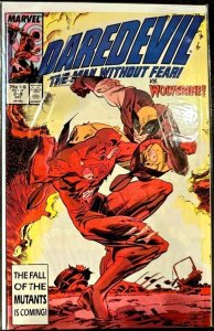 Daredevil 249 (1987) KEY BATTLE 1st WOLVERINE vs DD/MCU Kingpin Bullseye Elektra
