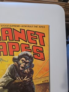 Planet of the Apes #16 (Marvel Comics January 1976)
