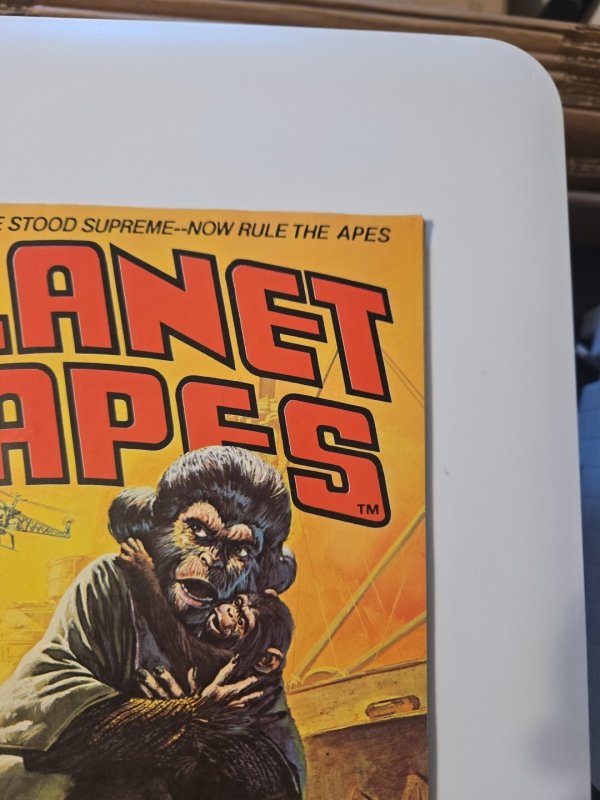 Planet of the Apes #16 (Marvel Comics January 1976)