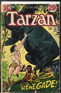 Edgar Rice Burroughs' Tarzan #216 (1973)