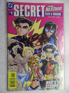 Young Justice Secret Files #1 (1999)