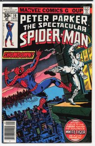 The Spectacular Spider-Man #10 (1977) Spider-Man
