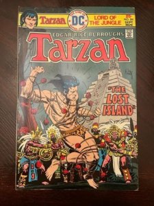 Edgar Rice Burroughs' Tarzan #241 (1975) - NM