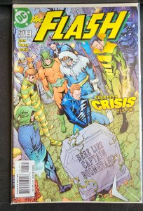 The Flash #217 (2005)