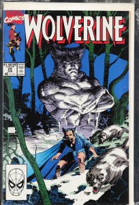 Wolverine #25 (1990) Wolverine