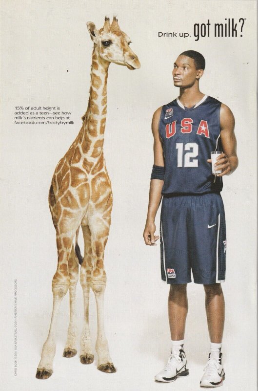 Batman Detective Comics # 3 Cover A NM DC 2012 [N3]