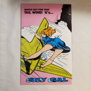Sky Gal 1 Near Mint-