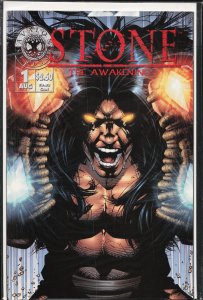 Stone #1 (1998) Stone