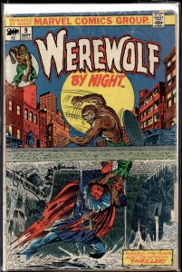 Werewolf by Night #9 (1973) Werewolf by Night