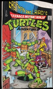 Teenage Mutant Ninja Turtles Adventures #1 (1989)
