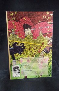 Ghost Rider, Wolverine, Punisher: Hearts of Darkness (1991)