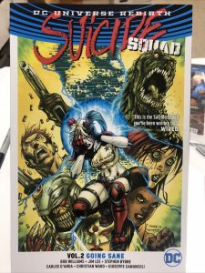 Suicide Squad Vol.2 Going Sane (2017) DC Comics TPB SC Rob Williams