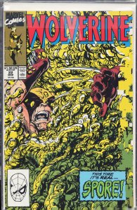 Wolverine #22 (1990) Wolverine