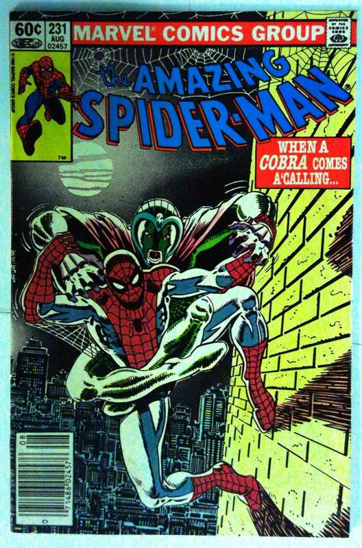 AMAZING SPIDERMAN 223 and 231 Marvel Spiderman Bronze Age Comics