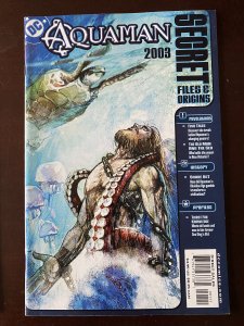 Aquaman: Secret Files & Origins #2 (2003)