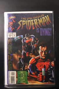 The Spectacular Spider-Man #219 (1994)