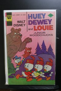 Huey, Dewey and Louie Junior Woodchucks #40 (1976)